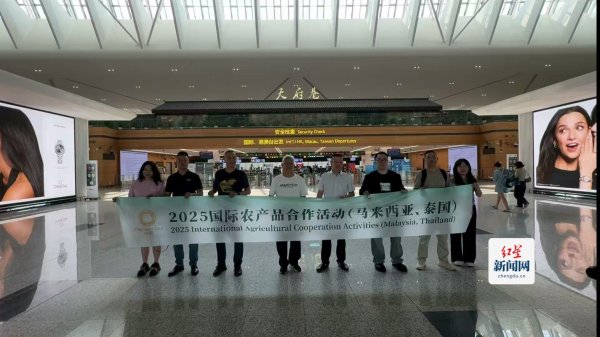 最正规的股票杠杆配资平台 川辣飘香“榴莲国” 蓉企出海“抢”订单